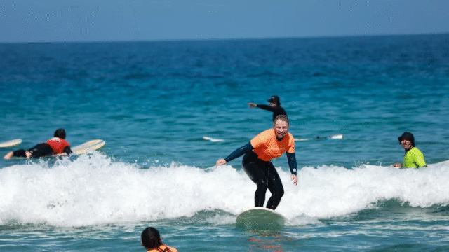 canary surf